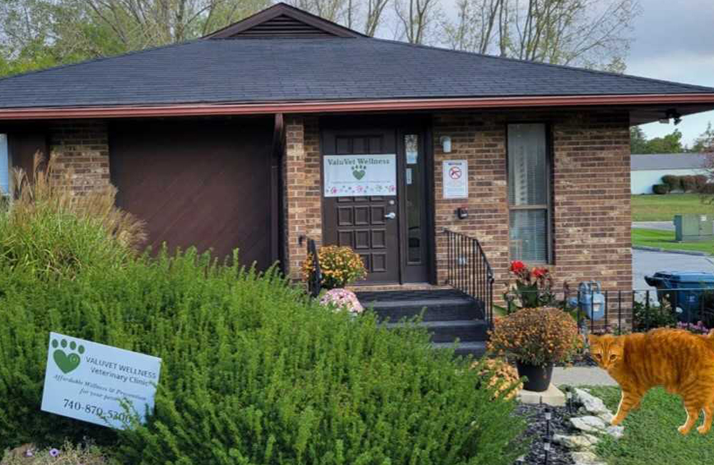 Blog Vet in Marysville Valuvet Wellness Veterinary Clinic